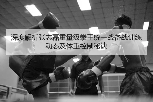 shen-du-jie-xi-zhang-zhi-lei-zhong-liang-ji-quan-wang-tong-yi-zhan-bei-zhan-xun-lian-dong-tai-ji-ti-zhong-kong-zhi-mi-2-817.jpg